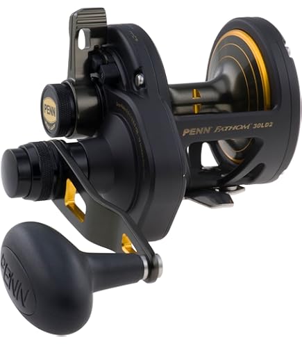 PENN FATHOM II ベイトリール Amazon | Penn FTHII25NSDP Fathom II スタードラッグリール 7 BRG 4.8